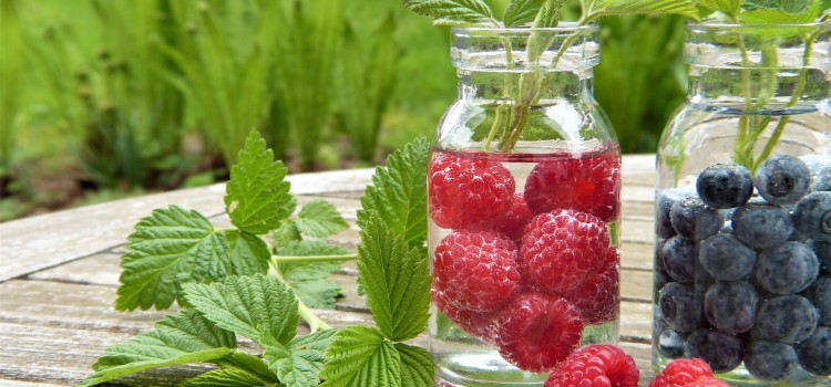 Revamp your water! Infused water recipes for weight loss